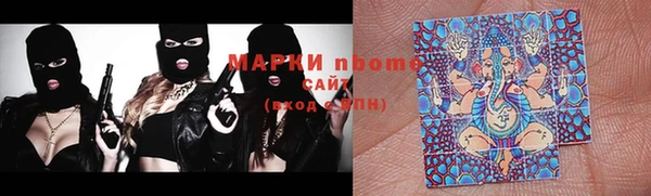 прущие грибы Белоозёрский