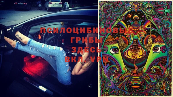 jwh Богородицк