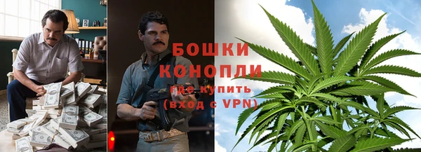 прущие грибы Белоозёрский