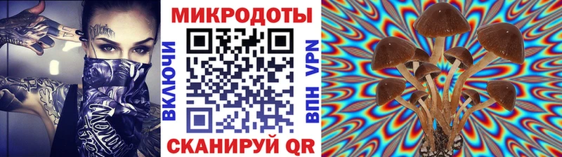 Псилоцибиновые грибы GOLDEN TEACHER  hydra сайт  Бронницы 